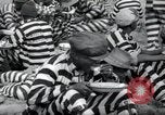 Image of chain gang Georgia United States USA, 1938, second 39 stock footage video 65675074852