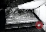 Immagine di Negro prigionieri Greenville Georgia USA, 1938, secondo 20 filmato di repertorio 65675074856