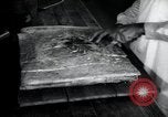 Immagine di Negro prigionieri Greenville Georgia USA, 1938, secondo 22 filmato di repertorio 65675074856