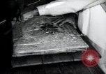 Immagine di Negro prigionieri Greenville Georgia USA, 1938, secondo 24 filmato di repertorio 65675074856