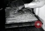 Immagine di Negro prigionieri Greenville Georgia USA, 1938, secondo 26 filmato di repertorio 65675074856
