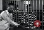 Immagine di Negro prigionieri Greenville Georgia USA, 1938, secondo 43 filmato di repertorio 65675074856