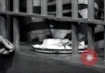 Immagine di Negro prigionieri Greenville Georgia USA, 1938, secondo 49 filmato di repertorio 65675074856