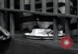 Immagine di Negro prigionieri Greenville Georgia USA, 1938, secondo 51 filmato di repertorio 65675074856
