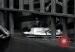 Immagine di Negro prigionieri Greenville Georgia USA, 1938, secondo 52 filmato di repertorio 65675074856