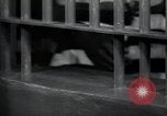Immagine di Negro prigionieri Greenville Georgia USA, 1938, secondo 57 filmato di repertorio 65675074856