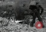 Standbild Marines Peleliu Palau Inseln, 1944, aus Sekunde 9 historischem Filmmaterial Videoclip 65675074871