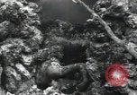 Standbild Marines Peleliu Palau Inseln, 1944, aus Sekunde 42 historischem Filmmaterial Videoclip 65675074871