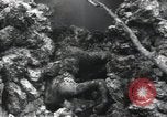 Standbild Marines Peleliu Palau Inseln, 1944, aus Sekunde 43 historischem Filmmaterial Videoclip 65675074871