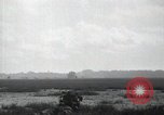 Image of Marines Peleliu Palau Islands, 1944, second 16 stock footage video 65675074872