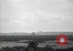 Image of Marines Peleliu Palau Islands, 1944, second 17 stock footage video 65675074872