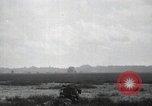 Image of Marines Peleliu Palau Islands, 1944, second 18 stock footage video 65675074872