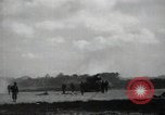 Image of Marines Peleliu Palau Islands, 1944, second 27 stock footage video 65675074872
