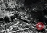 Image of Marines Peleliu Palau Islands, 1944, second 21 stock footage video 65675074874