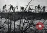 Image of Marines Peleliu Palau Islands, 1944, second 40 stock footage video 65675074874