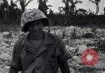 Image of Marines Peleliu Palau Islands, 1944, second 44 stock footage video 65675074874