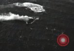 Standbild Avenger Bomber Pacific Theater, 1945, aus Sekunde 45 historischem Filmmaterial Videoclip 65675074878