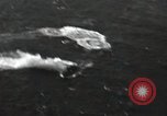 Standbild Avenger Bomber Pacific Theater, 1945, aus Sekunde 46 historischem Filmmaterial Videoclip 65675074878