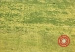 Standbild strafing von japanischen Flugzeugen Pacific Theater, 1944, aus Sekunde 42 historischem Filmmaterial Videoclip 65675074888