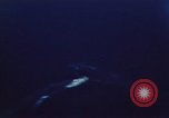 Image of strafing of Japanese ship Pacific Theater, 1944, second 5 stock footage video 65675074889