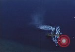 Immagine di Bombardamento navi giapponesi Teatro pacifico, 1944, secondo 44 filmato di repertorio 65675074892