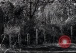 Image of Military Police Osaka Japan, 1945, second 10 stock footage video 65675074914
