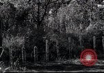 Image of Military Police Osaka Japan, 1945, second 11 stock footage video 65675074914
