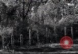 Image of Military Police Osaka Japan, 1945, second 13 stock footage video 65675074914