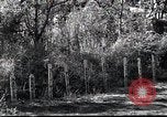 Image of Military Police Osaka Japan, 1945, second 15 stock footage video 65675074914