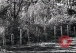 Image of Military Police Osaka Japan, 1945, second 16 stock footage video 65675074914