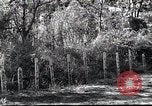 Image of Military Police Osaka Japan, 1945, second 17 stock footage video 65675074914