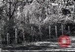 Image of Military Police Osaka Japan, 1945, second 18 stock footage video 65675074914