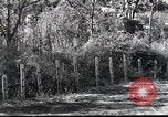 Image of Military Police Osaka Japan, 1945, second 20 stock footage video 65675074914