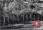 Image of Military Police Osaka Japan, 1945, second 21 stock footage video 65675074914
