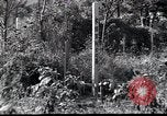 Image of Military Police Osaka Japan, 1945, second 38 stock footage video 65675074914