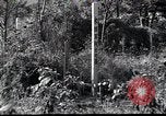 Image of Military Police Osaka Japan, 1945, second 41 stock footage video 65675074914