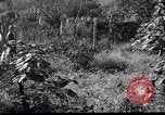 Image of Military Police Osaka Japan, 1945, second 50 stock footage video 65675074914