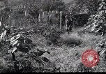 Image of Military Police Osaka Japan, 1945, second 59 stock footage video 65675074914