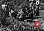 Image of grave registration men Osaka Japan, 1945, second 31 stock footage video 65675074915