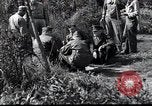 Image of grave registration men Osaka Japan, 1945, second 32 stock footage video 65675074915