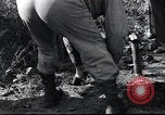 Image of grave registration men Osaka Japan, 1945, second 35 stock footage video 65675074915