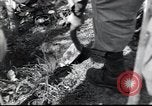 Image of grave registration men Osaka Japan, 1945, second 37 stock footage video 65675074915