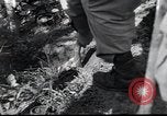 Image of grave registration men Osaka Japan, 1945, second 38 stock footage video 65675074915