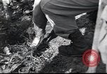 Image of grave registration men Osaka Japan, 1945, second 40 stock footage video 65675074915