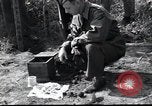 Immagine di Stati Uniti ufficiali Osaka in Giappone, 1945, secondo 12 filmato di repertorio 65675074916