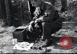 Immagine di Stati Uniti ufficiali Osaka in Giappone, 1945, secondo 13 filmato di repertorio 65675074916