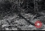 Image of United States Military Police Osaka Japan, 1945, second 9 stock footage video 65675074917