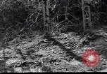 Image of United States Military Police Osaka Japan, 1945, second 11 stock footage video 65675074917