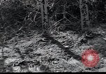 Image of United States Military Police Osaka Japan, 1945, second 13 stock footage video 65675074917
