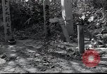 Image of United States Military Police Osaka Japan, 1945, second 44 stock footage video 65675074917